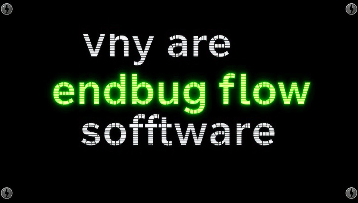 why are endbugflow software called bugs